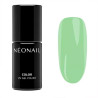 Värillinen geelilakka - NeoNail Eternal Fantasies - 7,2 ml