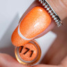 Цветной гель-лак Molly Nails Neon Flash Cat Eye 171 - 8 г