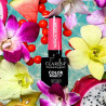 Smalto gel colorato – Claresa – Tropical Escape № 3, 5 g